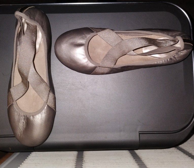 NIB! Easy Spirit Ballet Flats Pewter Color
