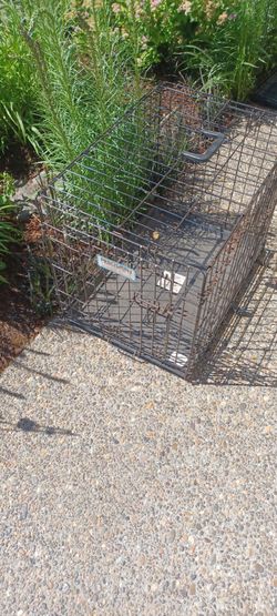 Pet crate good condition one door collapsible