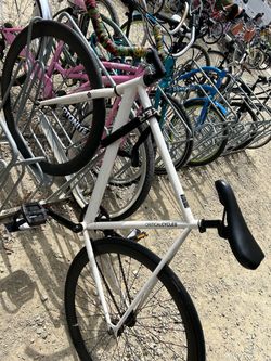 White fixie bike