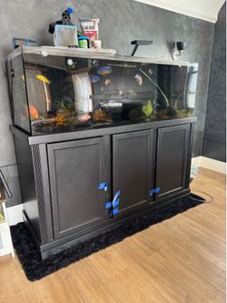 Aquarium stuff - description *