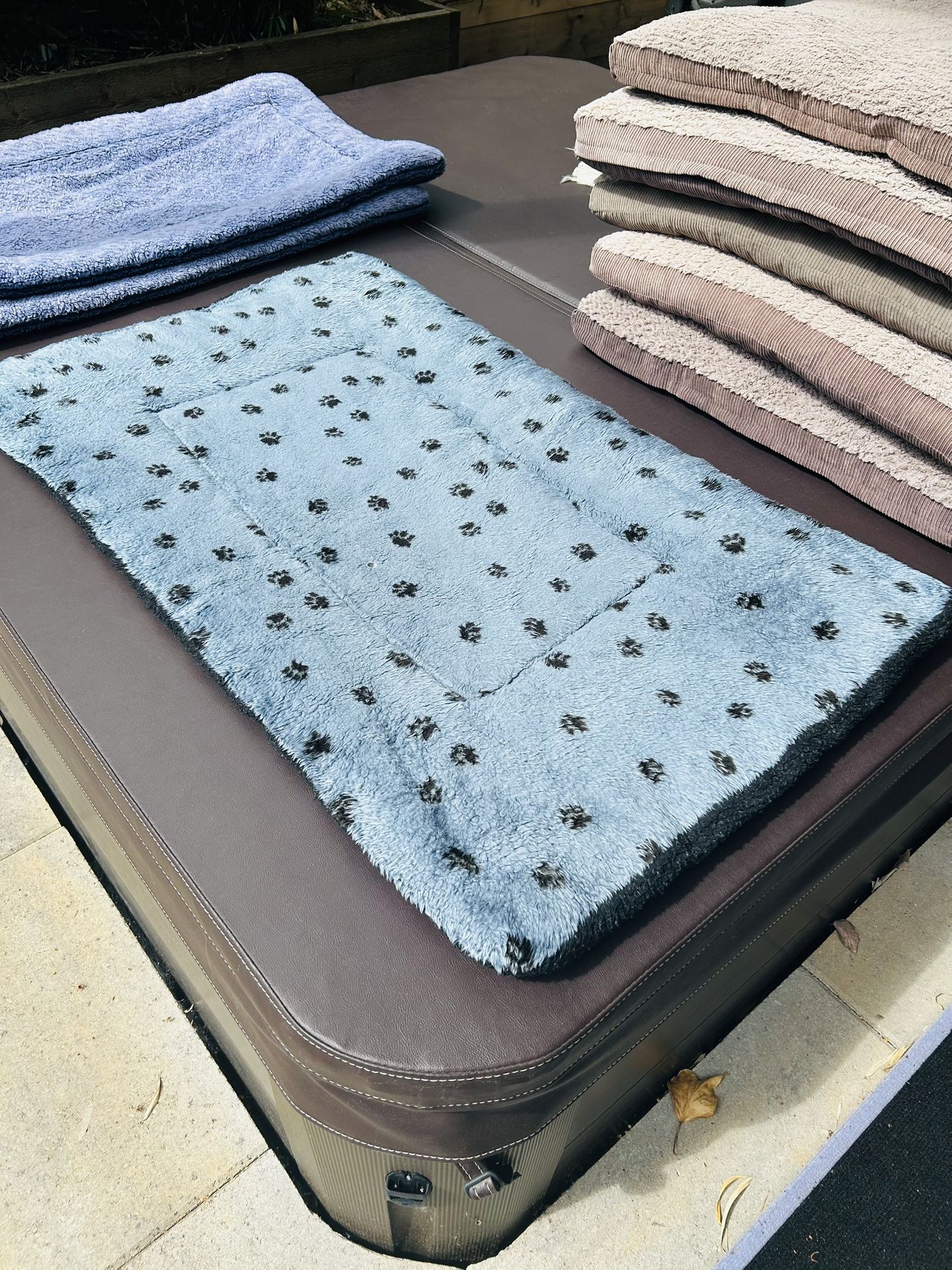 Dog Bed