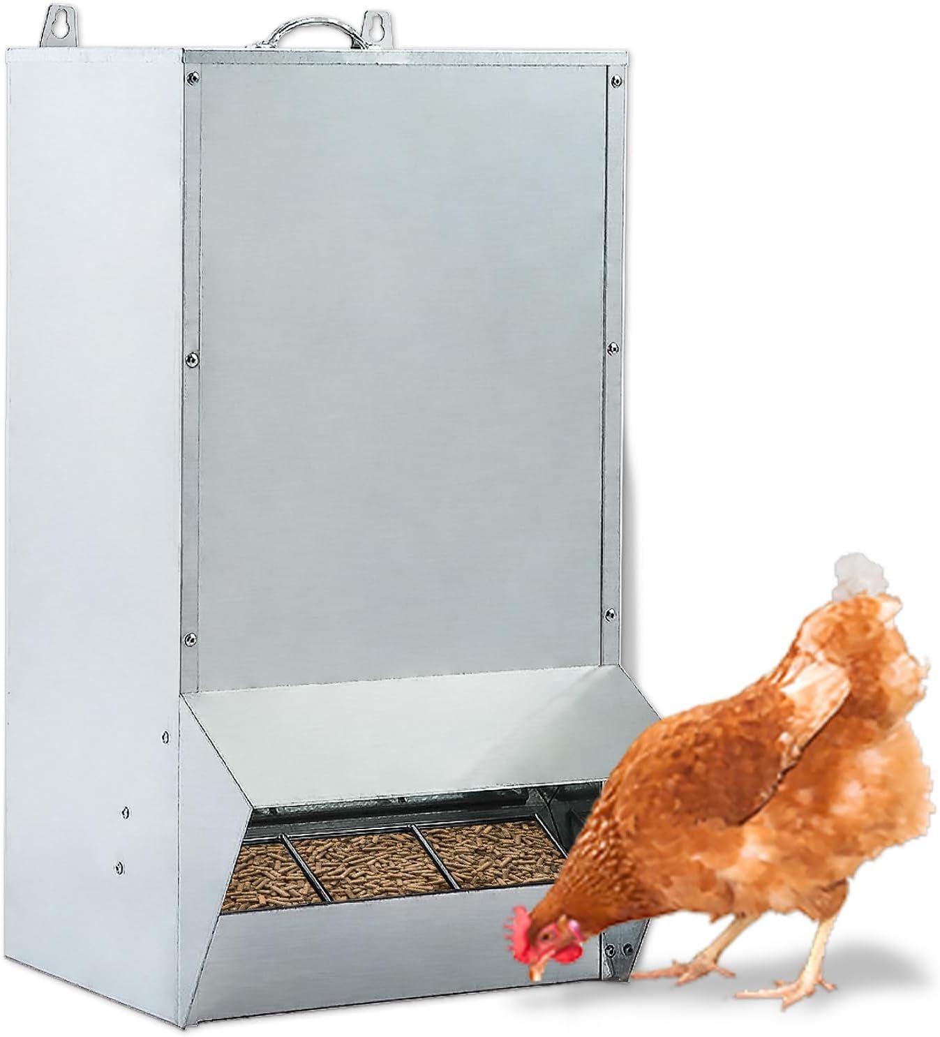 Heavy-Duty Outdoor Chicken Feeder – 50lb Capacity – Galvanized Metal