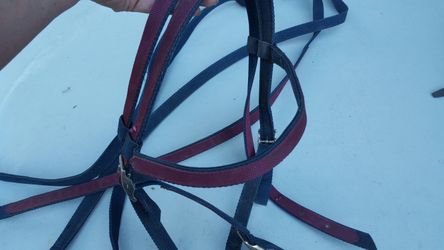 Cute purple and navy blue bridle / headstall and reins
