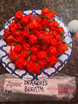 Fresh SuperHot Peppers $2