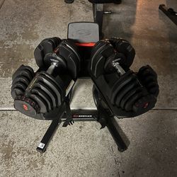 Bowflex 1090 Dumbbells 
