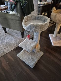 Cat post
