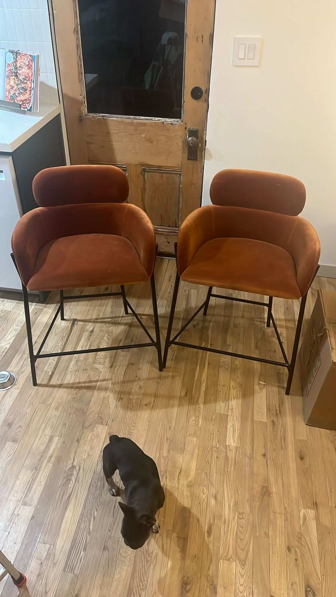 Azalea Brown Counter Stool CB2