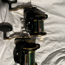 Fishing Reels