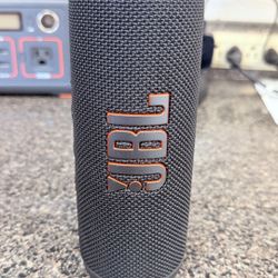 JBL Flip 6 Bluetooth Speaker
