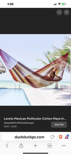 New Mayan Hammock