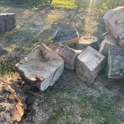 Free Fire Wood Cut Ready for Pickup
