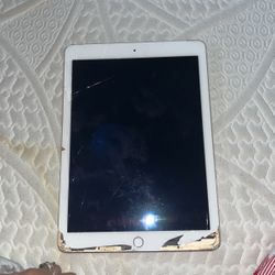 Broken iPad (for Parts)