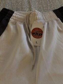 Pro 5 large