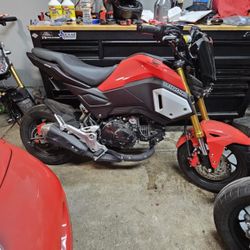 Honda Grom