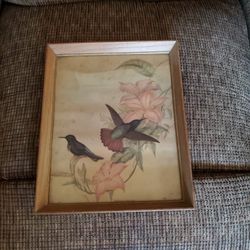 Vintage Hummingbird Painting