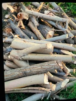 Free wood