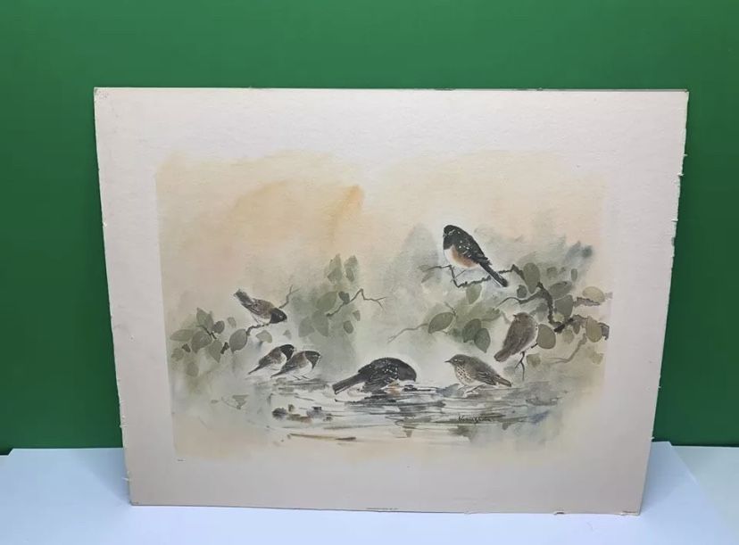 Vern Yadon 1930 Artist CA Watercolor Print Group Birds Drinking