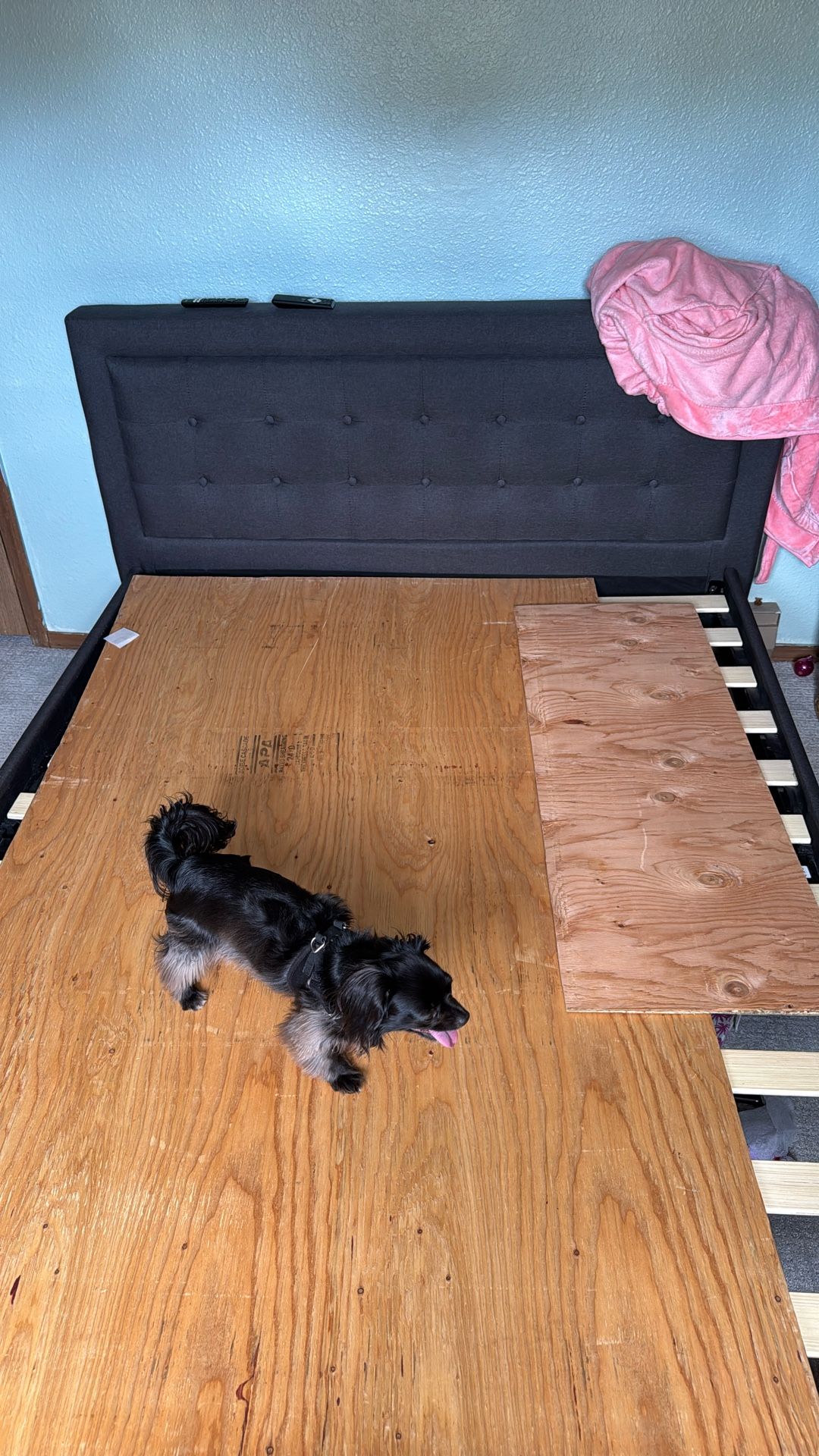 Queen Size Bed Frame 