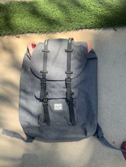 Hershel Fabric Gray Color Backpack