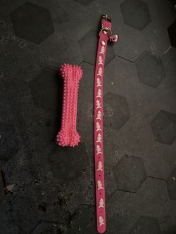 XxSmall Pet Collar And Chew Bone