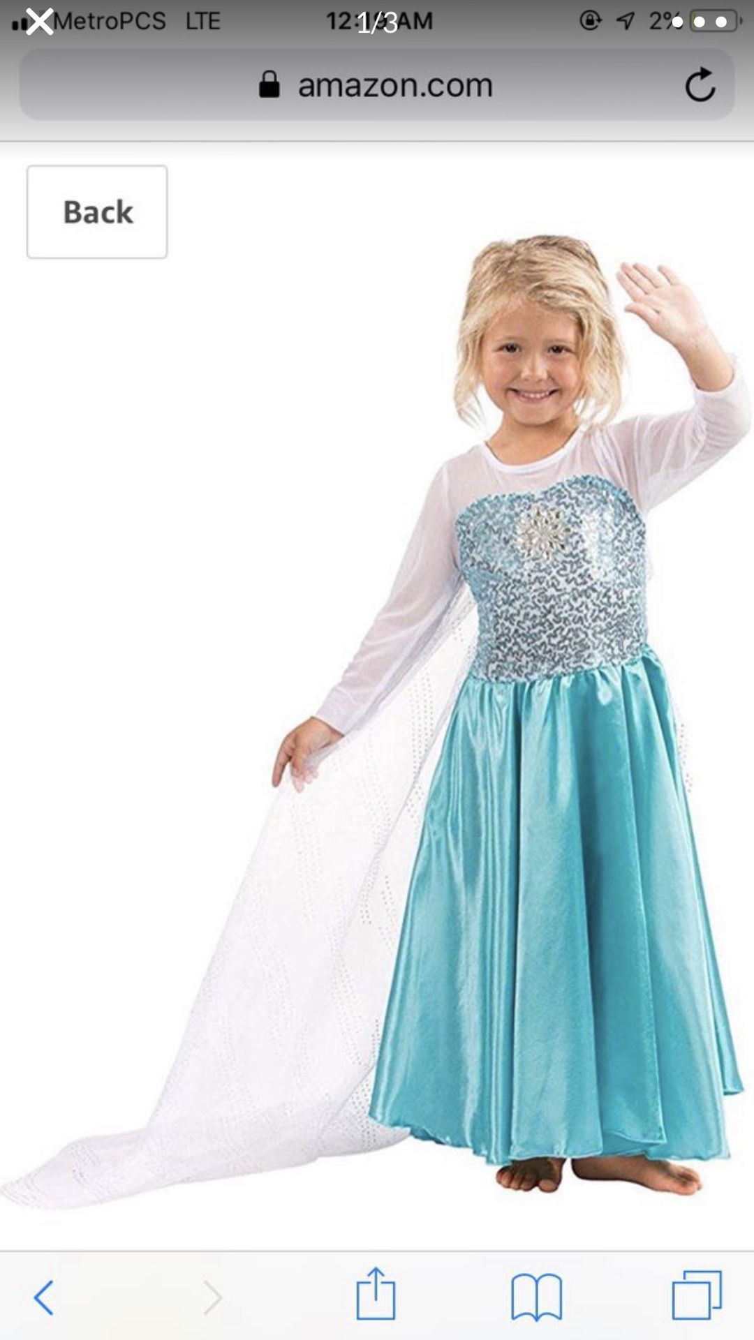 Elsa Dress Custome