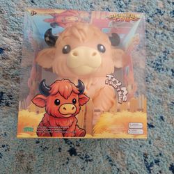PPNC Higland Cow