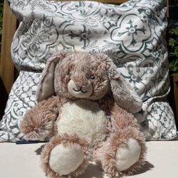 Fluffy Brown Bunny