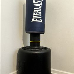 everlast punching bag 