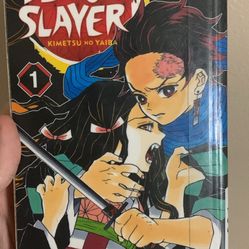 Demon Slayer Volume 1