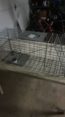 Small animal trap