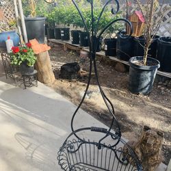 Holder Plants 2 For 30