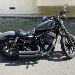 2022 Harley Davidson Iron 883