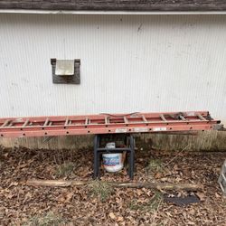 Louisville Fiberglass Ladder 