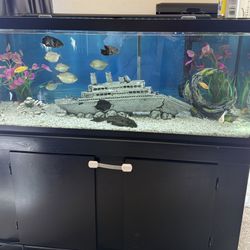 60 Gallon Fish Tank With All Fishes And Accessories Included!
