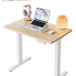Sitting/ Standing Desk