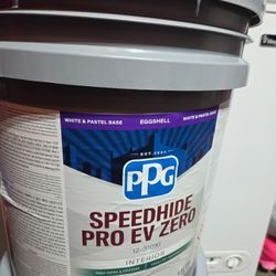 White Eggshell Paint