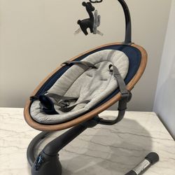 Baby Rocker Swing