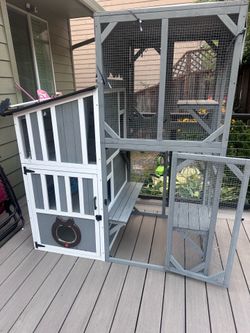 Catio