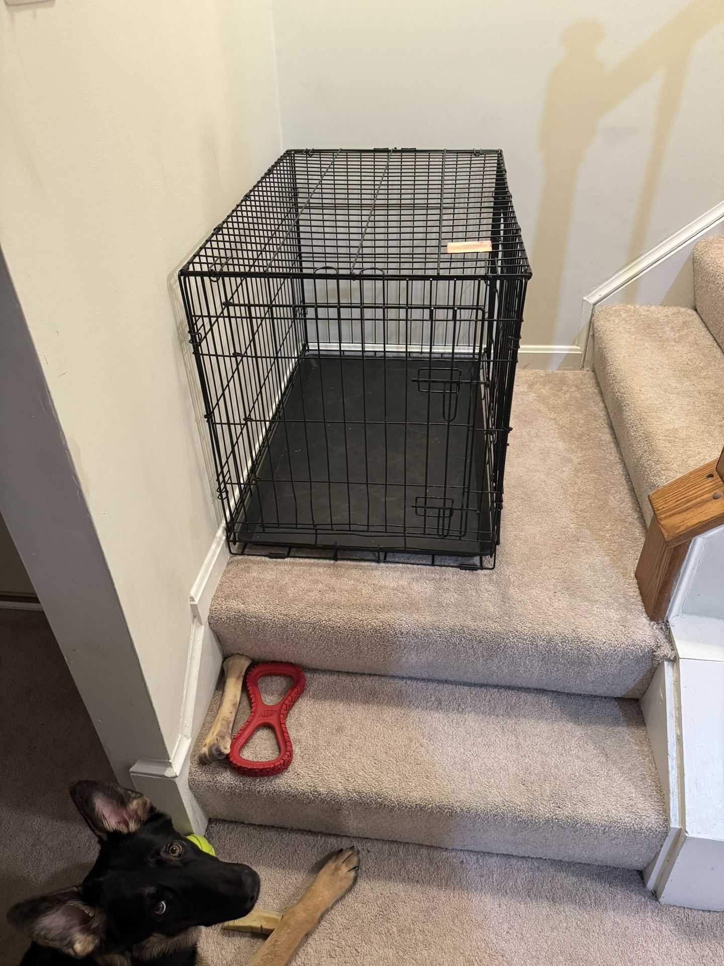 Dog Crate 