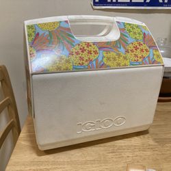 Chubby’s Igloo Cooler