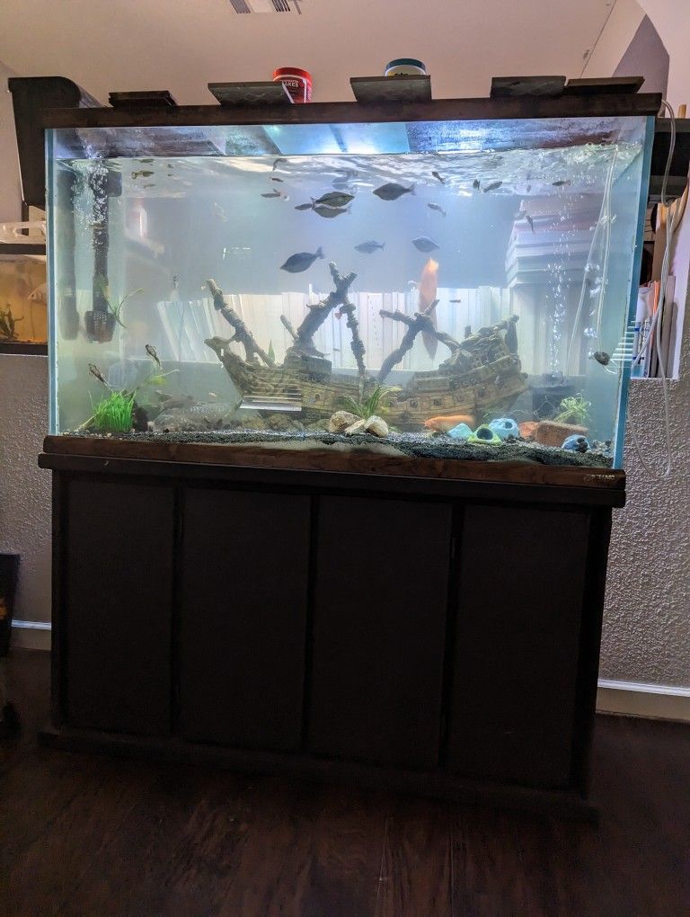 100 Gallon Fish Aquarium for Sale in San Antonio, TX OfferUp