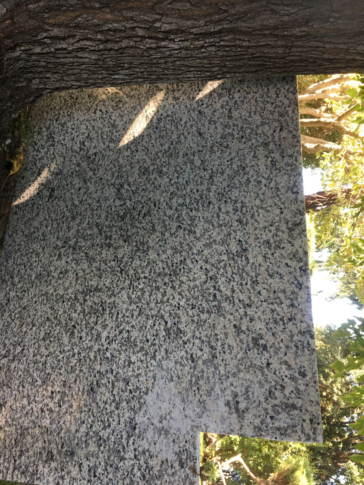 Granite slab NEW