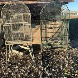 Bird Cages Big 