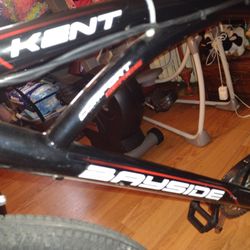 BICICLETA. CON MOTOR