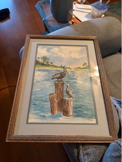 Pelican art