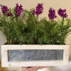 Artificial Plant Box Decor.  See Description