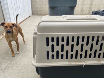 TOP PAW kennel dog house