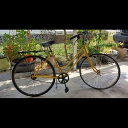 Restore 1980s vintage Schwinn.