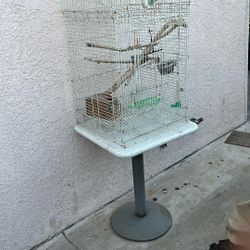 Bird Cage 