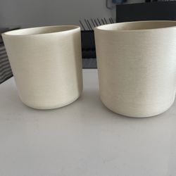 Flower / Plant Pots 